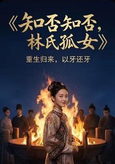 知否知否，林氏孤女
