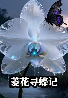 菱花寻蝶记