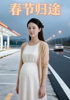 春节归途