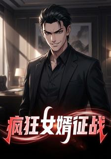 疯狂女婿征战