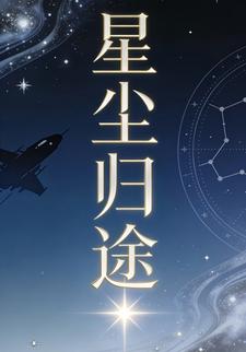 星尘归途20