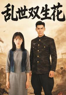 乱世双生花