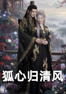 狐心归清风
