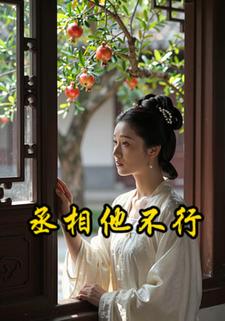 丞相他不行