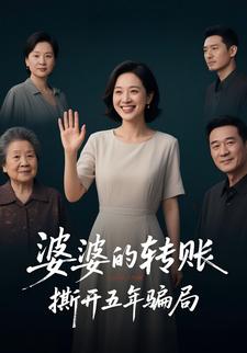 婆婆的转账，撕开五年骗局