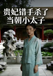 贵妃错手杀了当朝小太子