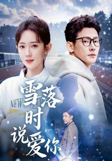 雪落时说爱你