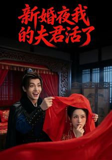 新婚夜我的夫君活了