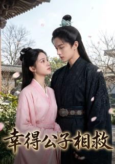 幸得公子相救