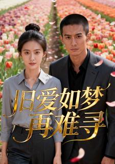 旧爱如梦再难寻