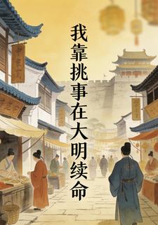 我靠挑事在大明续命