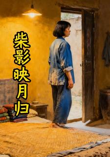 柴影映月归