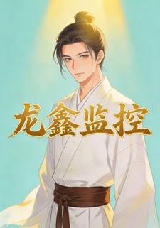 龙鑫监控