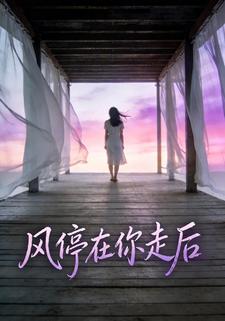 风停在你走后