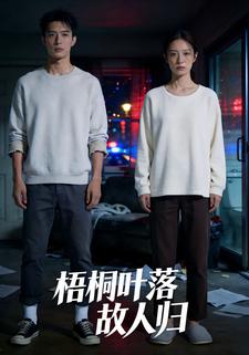 梧桐叶落故人归