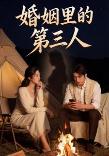 婚姻里的第三人