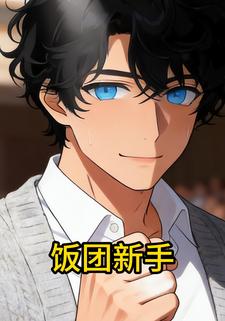 饭团新手