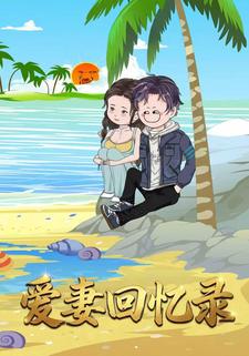 爱妻回忆录