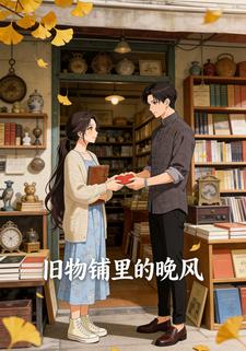 旧物铺里的晚风