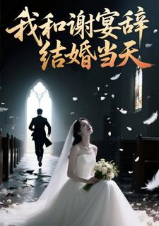 我和谢宴辞结婚当天