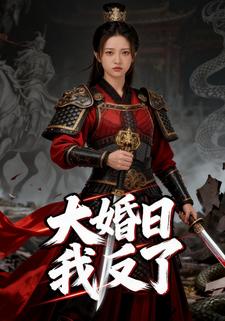 大婚日我反了