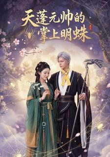 天蓬元帅的掌上明蛛
