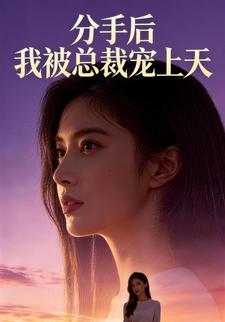 分手后，我被总裁宠上天
