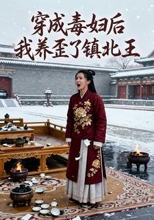穿成毒妇后我养歪了镇北王