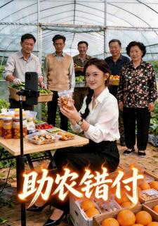 助农错付