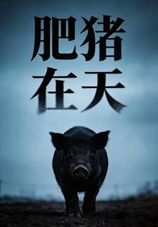 肥猪在天