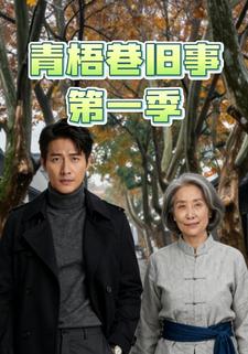 青梧巷旧事第一季