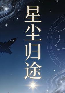 星尘归途38