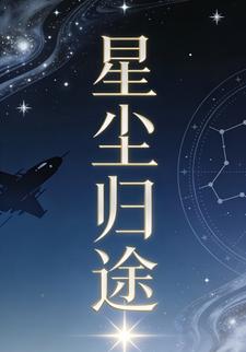 星尘归途27