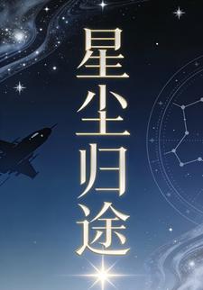 星尘归途49