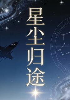 星尘归途37