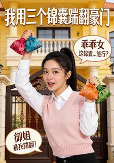 我用三个锦囊踹翻豪门
