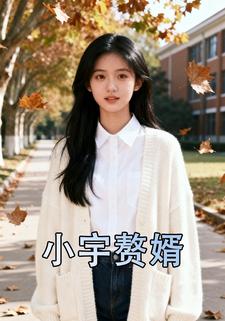 小宇赘婿