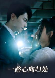 一路心向归处