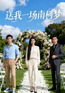 送我一场南柯梦