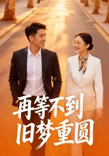 再等不到旧梦重圆