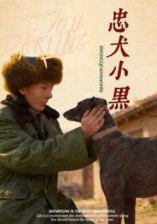 忠犬小黑
