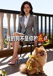 我的狗不是你的玩具