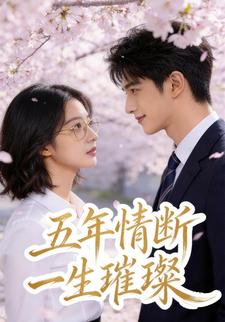五年情断，一生璀璨
