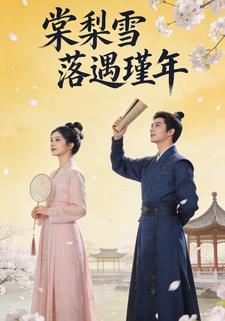 棠梨雪落遇瑾年