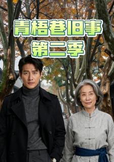 青梧巷旧事第二季