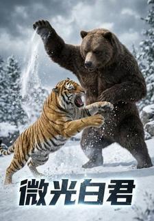 微光白君