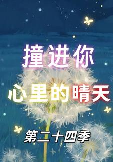 撞进你心里的晴天第二十四季