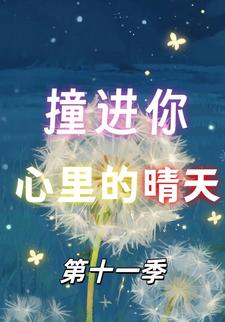撞进你心里的晴天第十一季