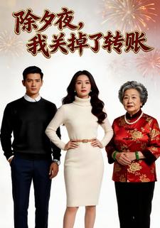 除夕夜,我关掉了转账