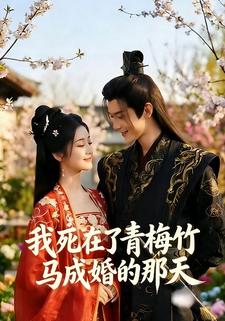 我死在了青梅竹马成婚的那天